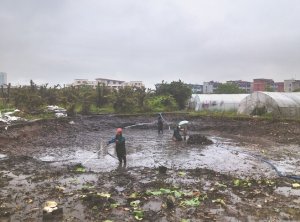 回民河道鱼塘清淤